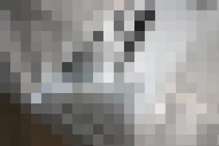 Op 'e Wâl 10 Oudega thumbnail 31
