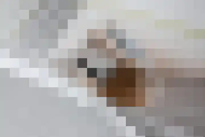 Op 'e Wâl 10 Oudega thumbnail 48