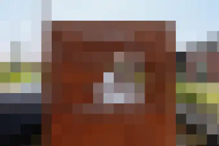 Op 'e Wâl 10 Oudega thumbnail 58