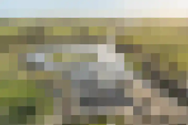 Op 'e Wâl 10 Oudega thumbnail 6