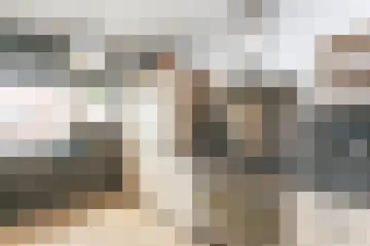 Op Gen Hoes 34 Brunssum thumbnail 12