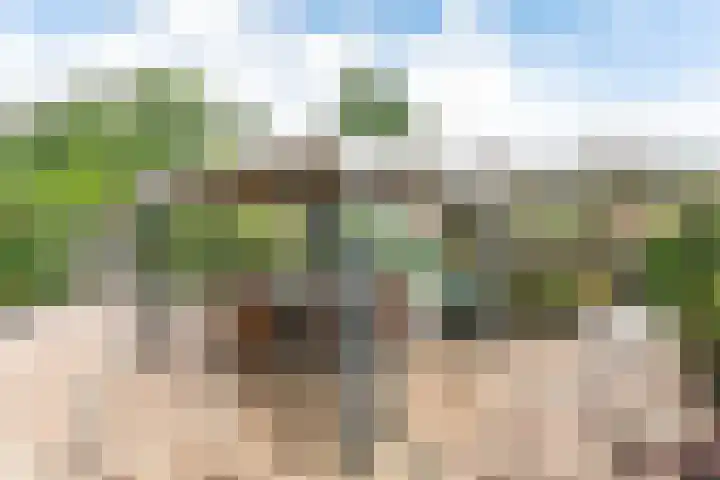 Op Gen Hoes 34 Brunssum thumbnail 30