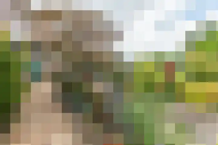 Op Gen Hoes 34 Brunssum thumbnail 32