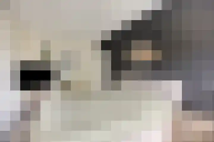 Op Gen Hoes 83 Brunssum thumbnail 16