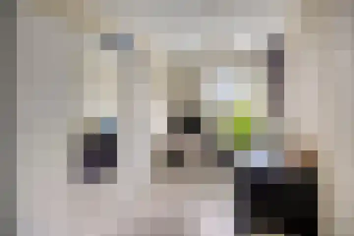 Op Gen Hoes 83 Brunssum thumbnail 18