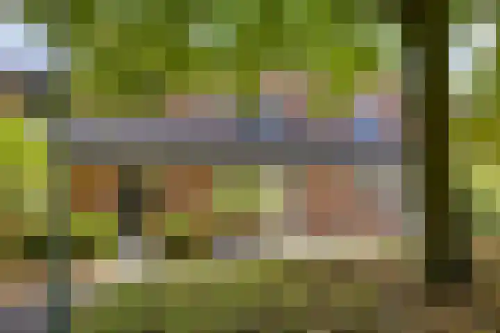 Op Gen Hoes 83 Brunssum thumbnail 37