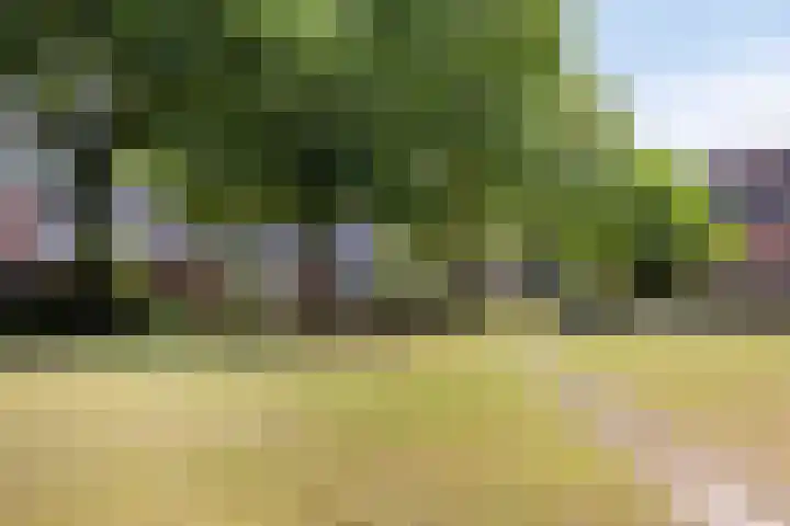 Op Gen Hoes 83 Brunssum thumbnail 38