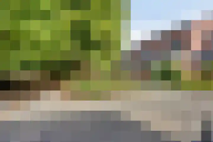 Op Gen Hoes 83 Brunssum thumbnail 39