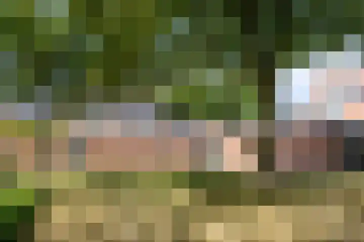 Op Gen Hoes 83 Brunssum thumbnail 41