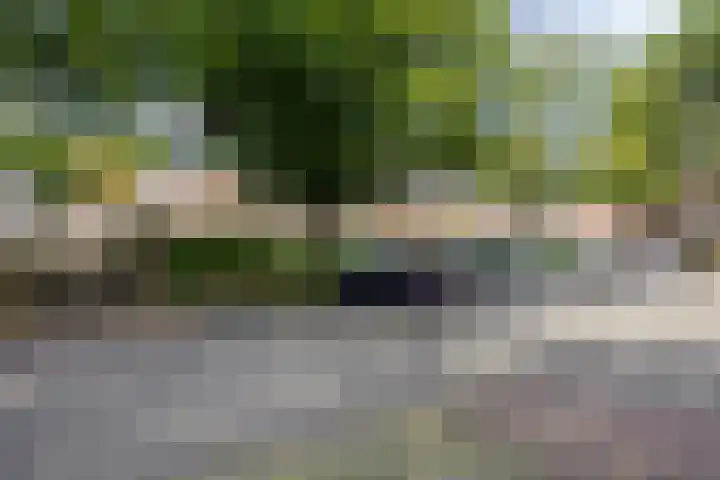 Op Gen Hoes 83 Brunssum thumbnail 42
