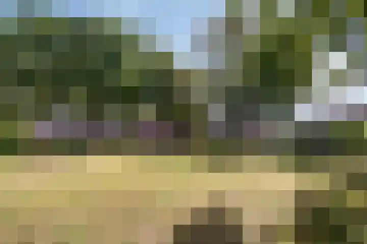 Op Gen Hoes 83 Brunssum thumbnail 43