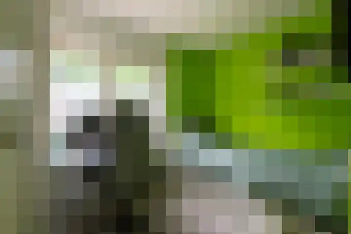 Op gen Steen 27 Landgraaf thumbnail 18