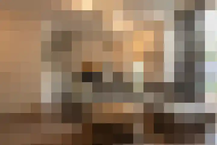 Op gen Steen 27 Landgraaf thumbnail 8