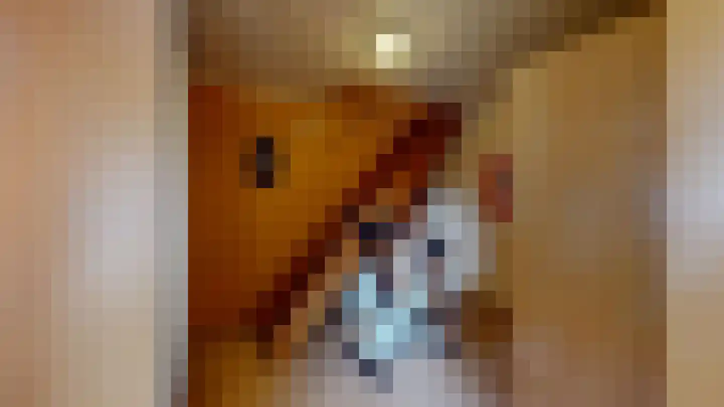 Op het Bergske 7 Landgraaf thumbnail 17