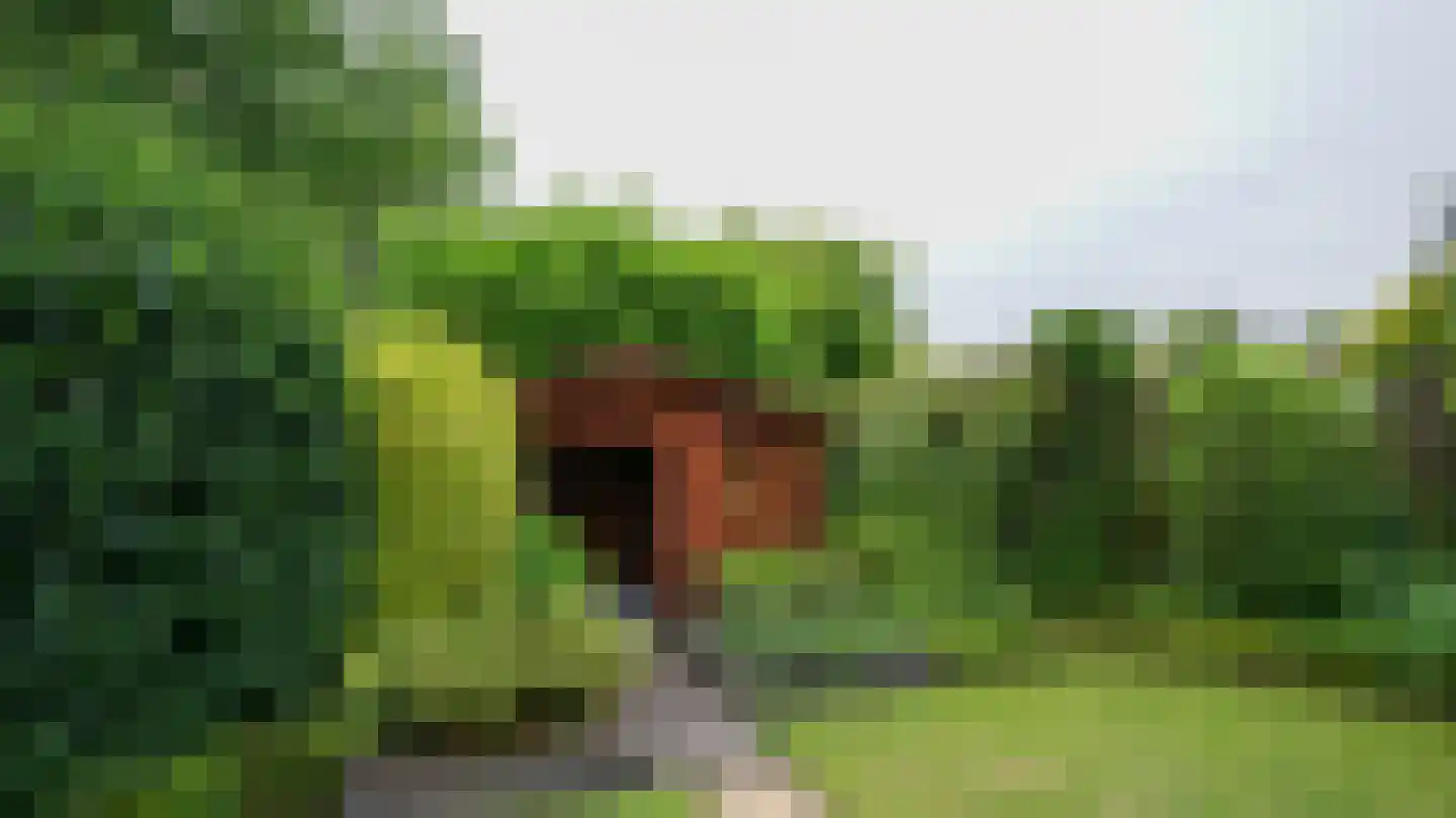 Op het Bergske 7 Landgraaf thumbnail 34
