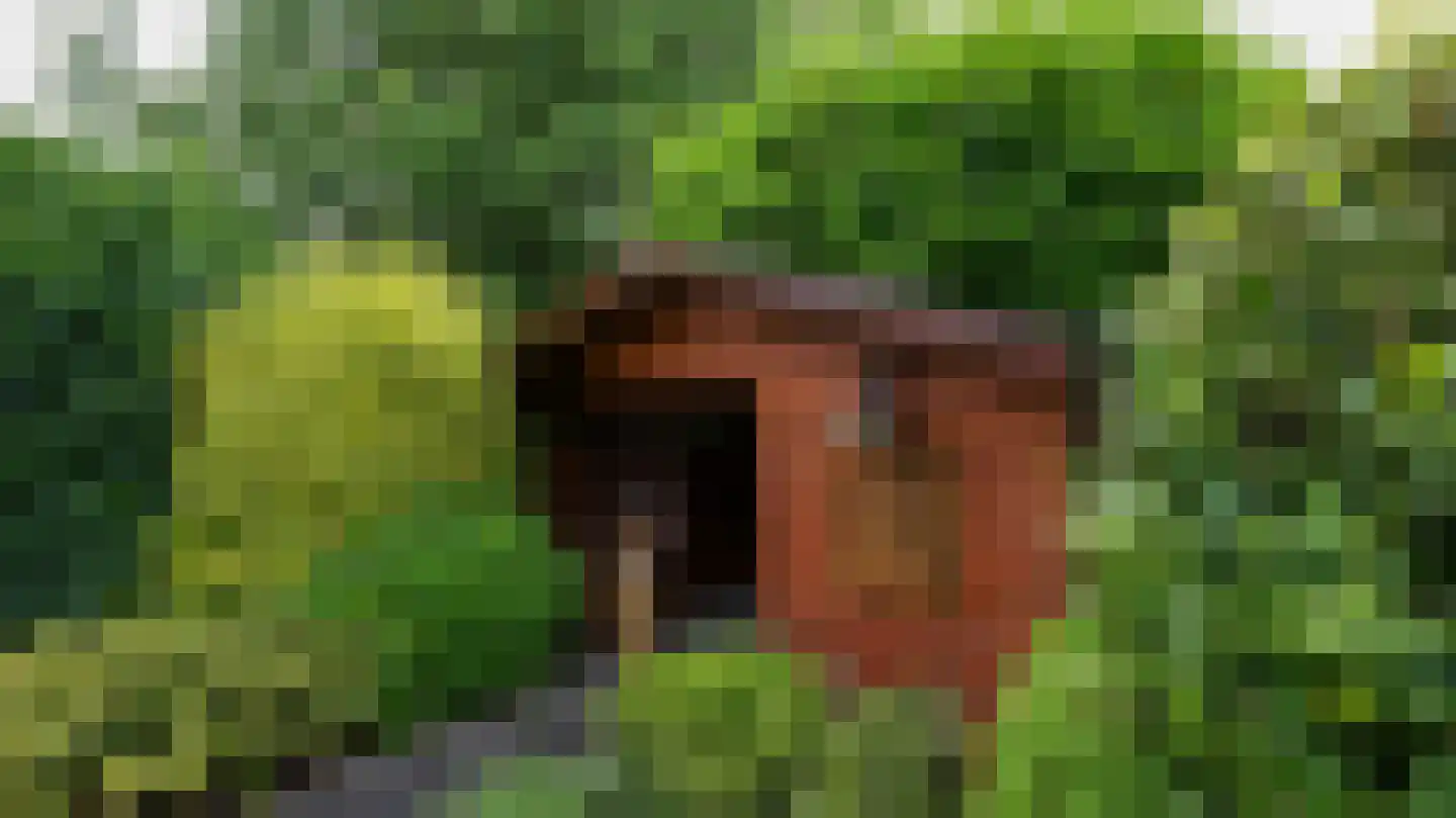 Op het Bergske 7 Landgraaf thumbnail 37