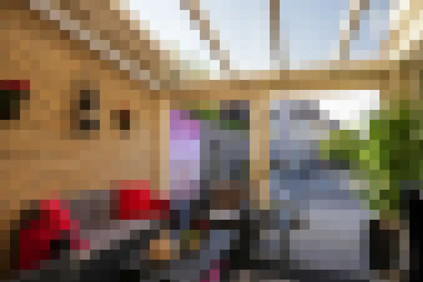 Op het Leurke 3 Nieuwstadt thumbnail 24