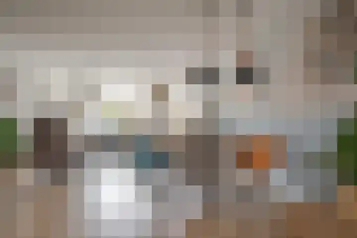 Op het Veld 10 Heerde thumbnail 20
