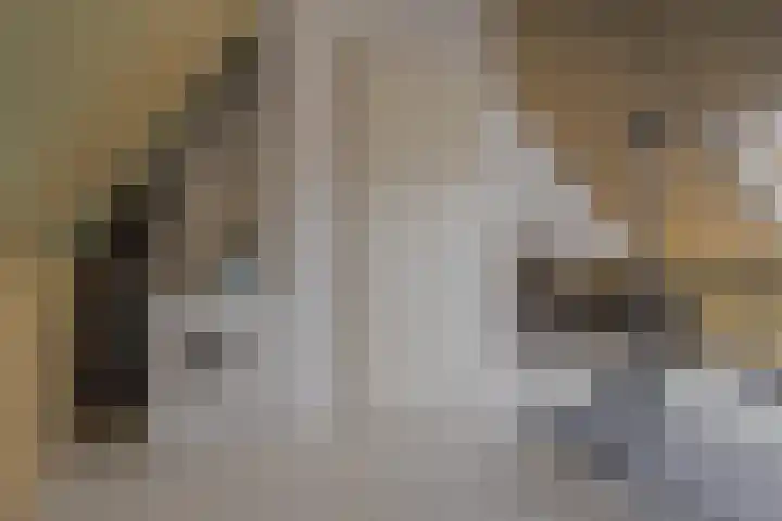 Op het Veld 10 Heerde thumbnail 41