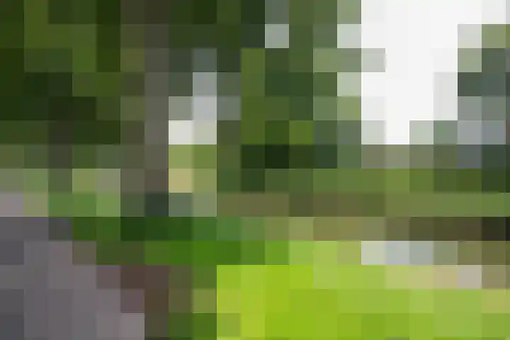 Op het Veld 10 Heerde thumbnail 42
