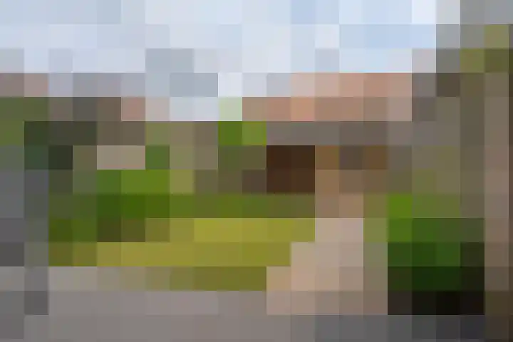 Op het Veld 10 Heerde thumbnail 44