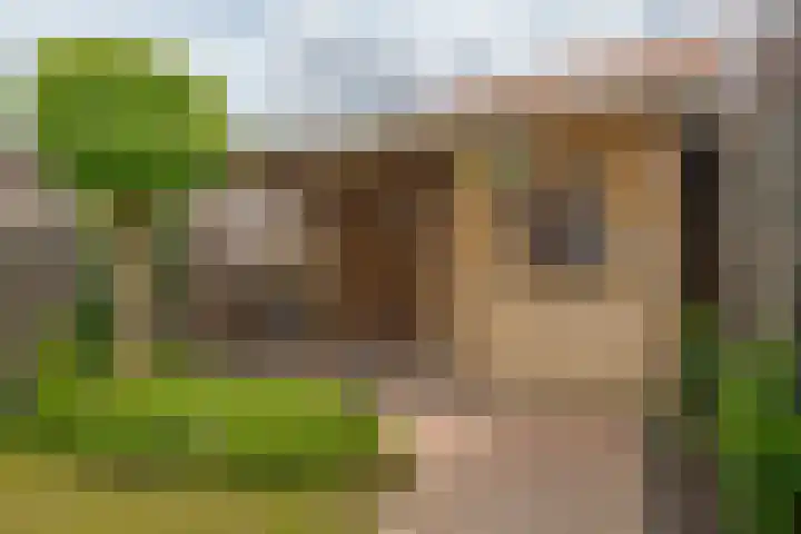 Op het Veld 10 Heerde thumbnail 47