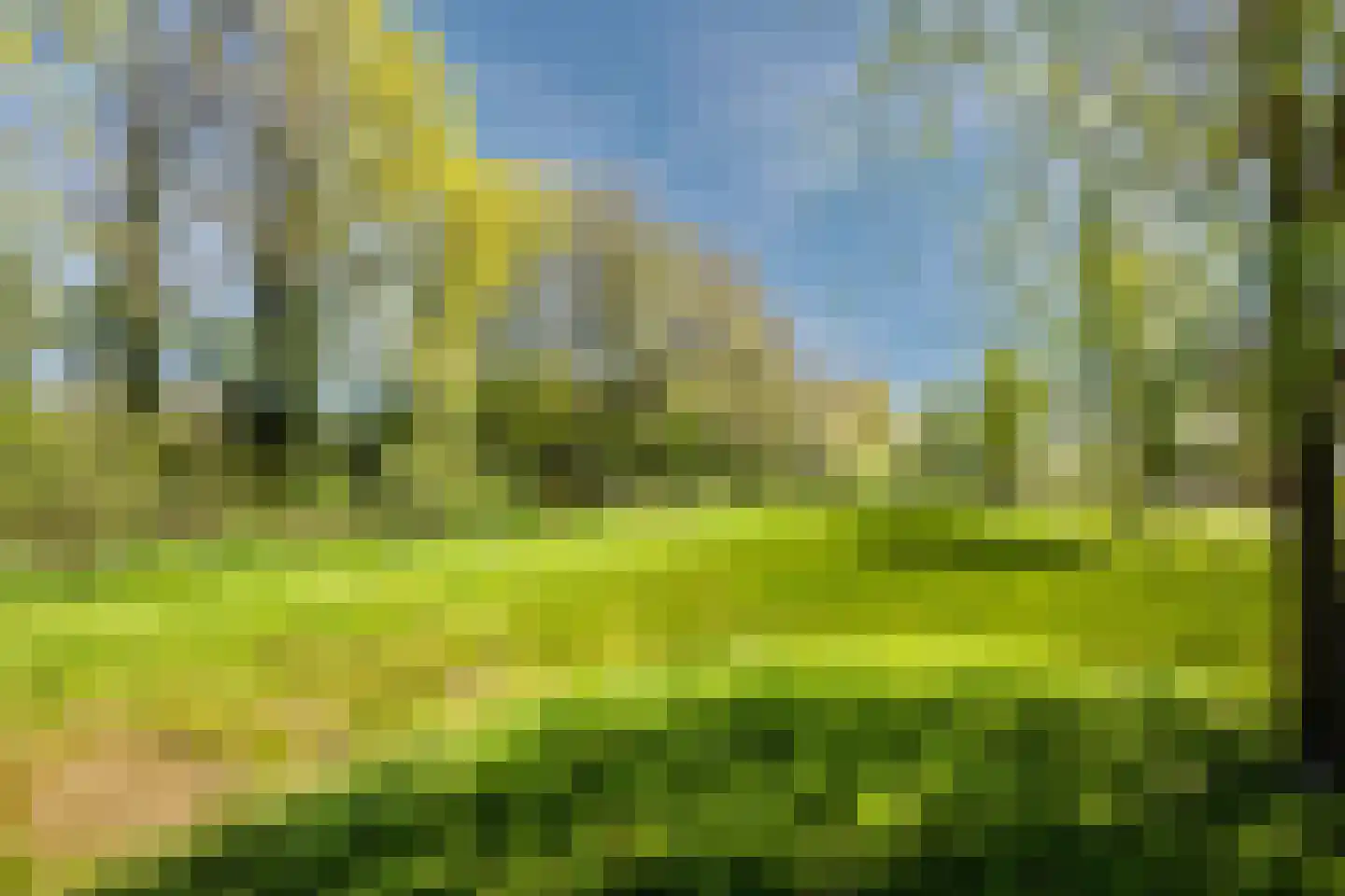 Op het Veld 3 Heerde thumbnail 46