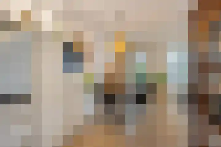Op het Veld 6 Heerde thumbnail 15