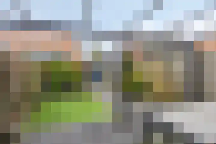 Op het Veld 6 Heerde thumbnail 27