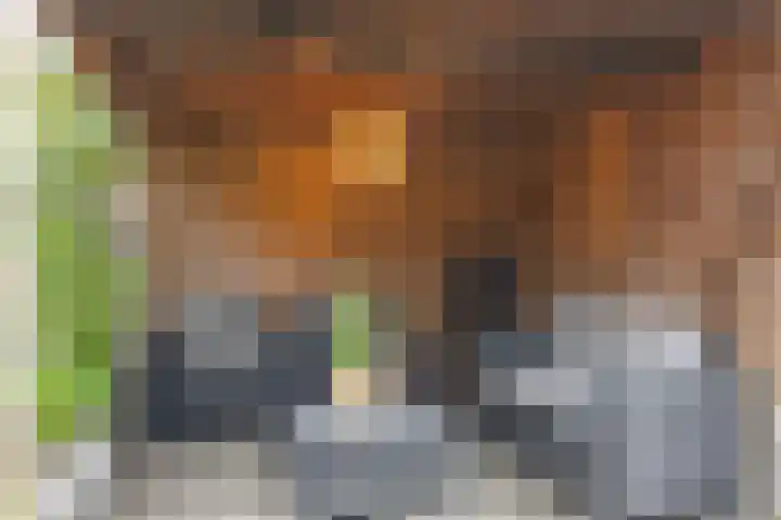 Op het Veld 6 Heerde thumbnail 28