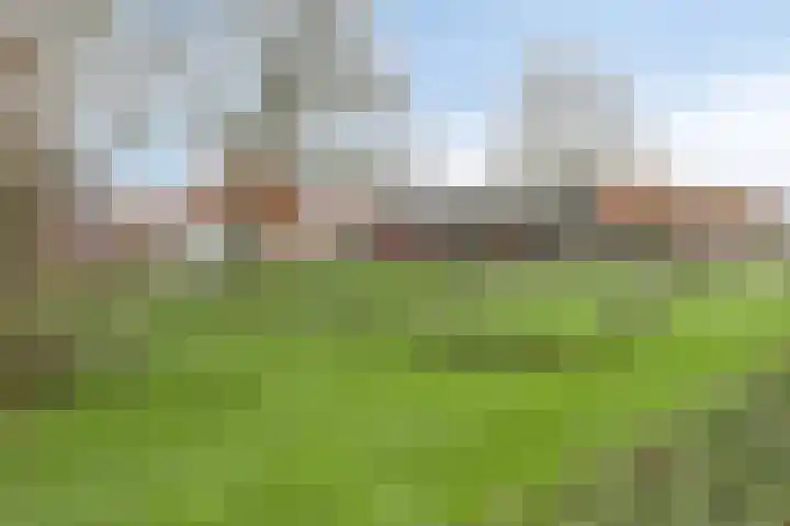 Op het Veld 6 Heerde thumbnail 30