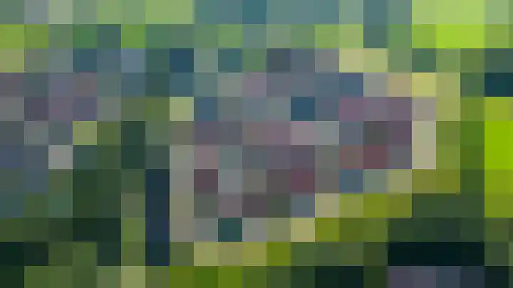 Op het Veld 6 Heerde thumbnail 4