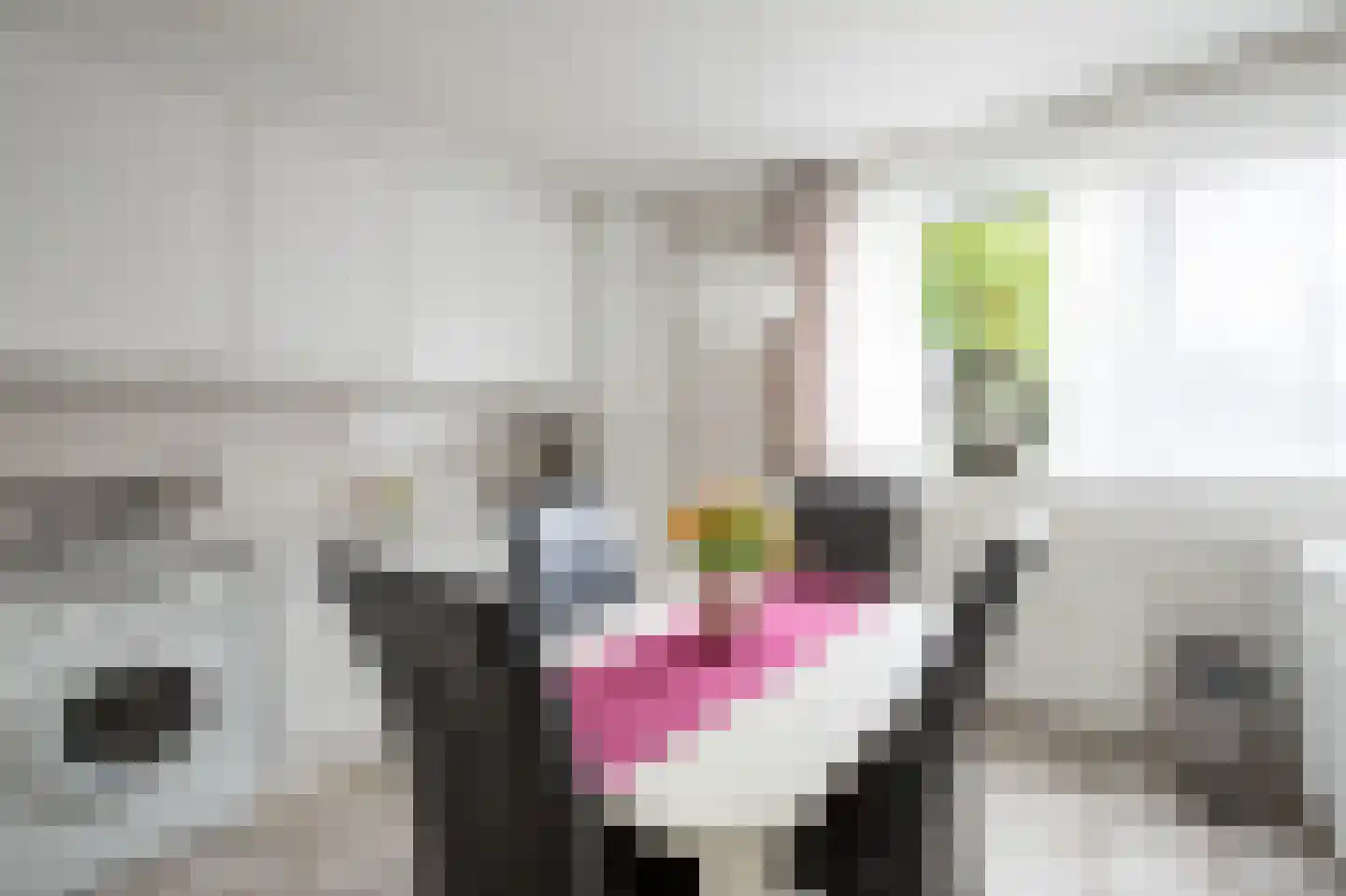 Op het Veldje 28 Landgraaf thumbnail 14