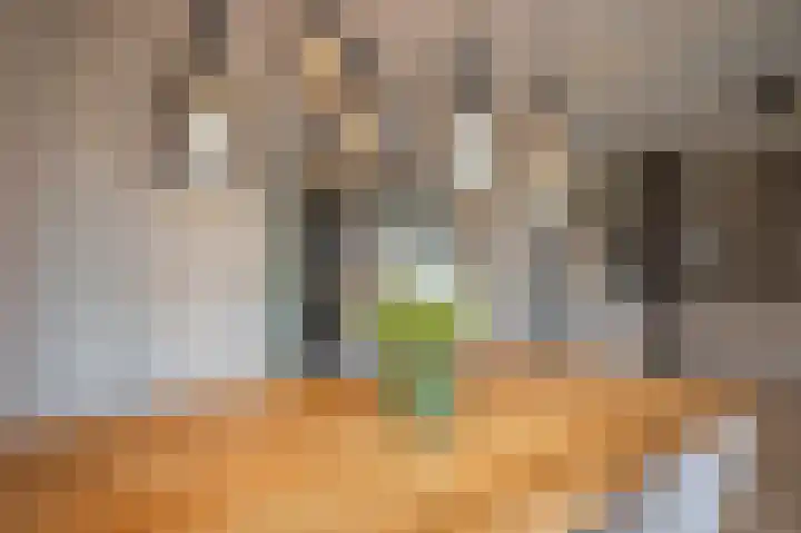 Op het Veldje 3 Landgraaf thumbnail 11