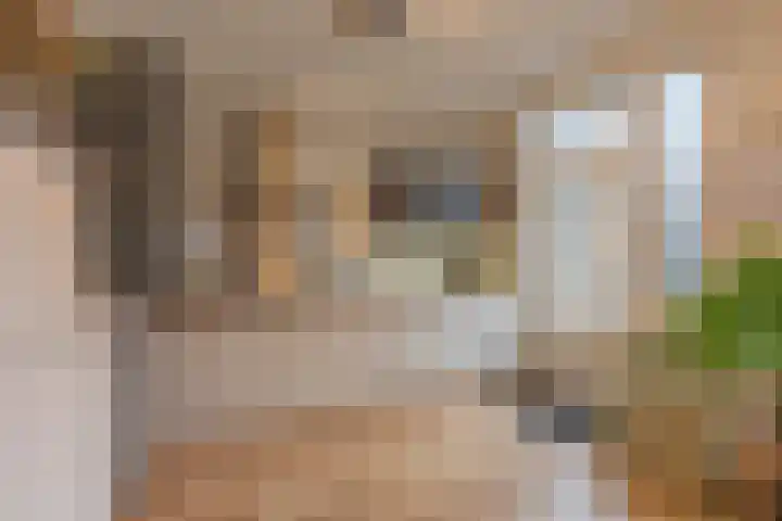 Op het Veldje 3 Landgraaf thumbnail 13