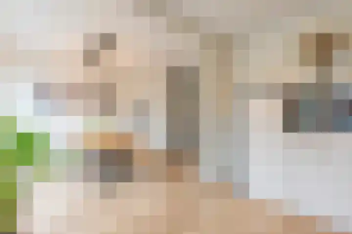 Op het Veldje 3 Landgraaf thumbnail 14
