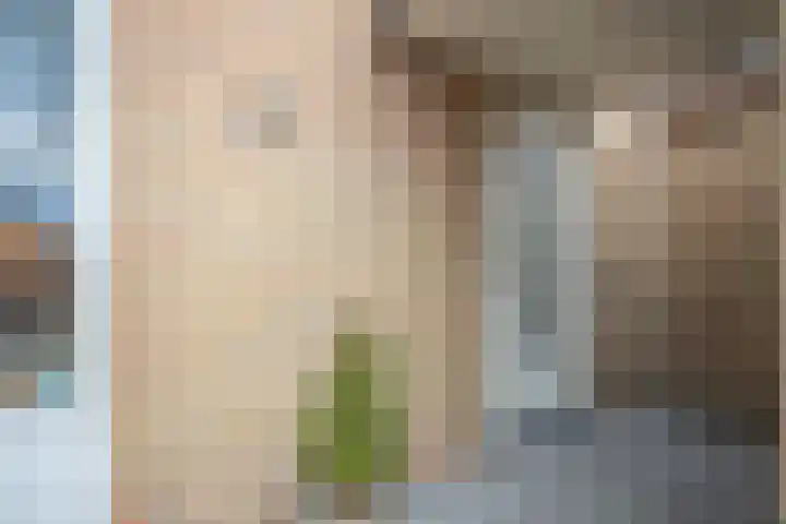 Op het Veldje 3 Landgraaf thumbnail 4