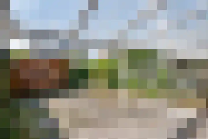 Op het Zant 9 Meijel thumbnail 10