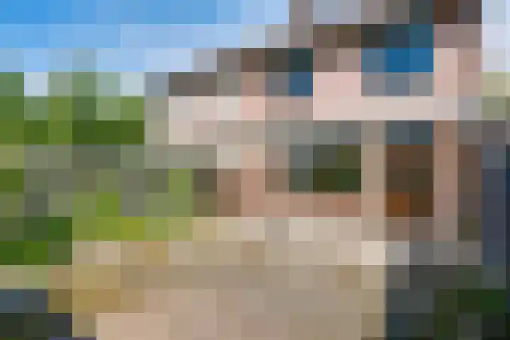 Op het Zant 9 Meijel thumbnail 11