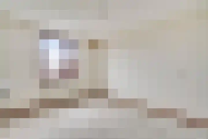 Op het Zant 9 Meijel thumbnail 14