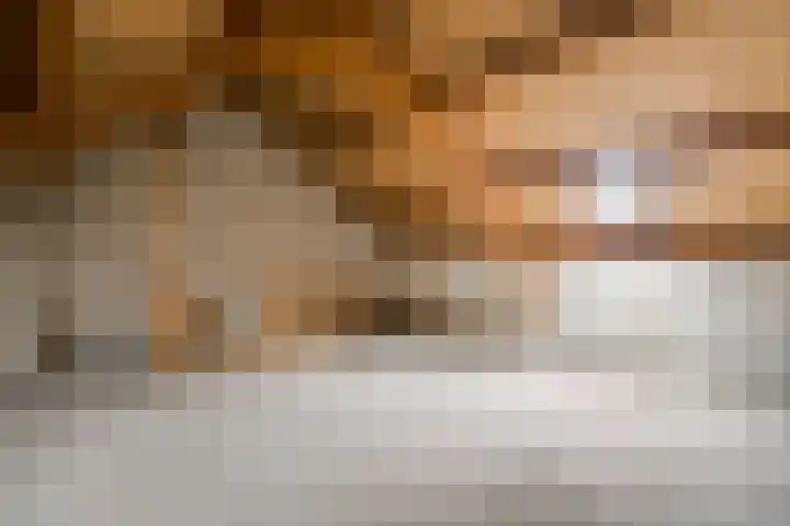 Op het Zant 9 Meijel thumbnail 20