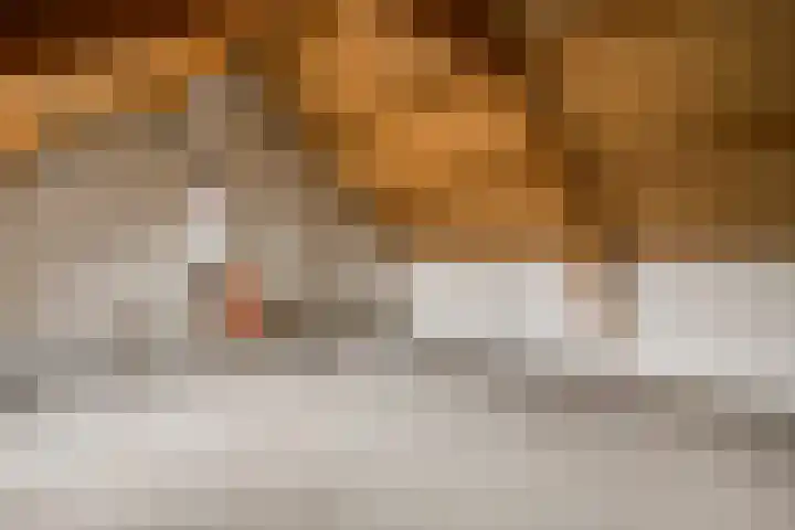 Op het Zant 9 Meijel thumbnail 21