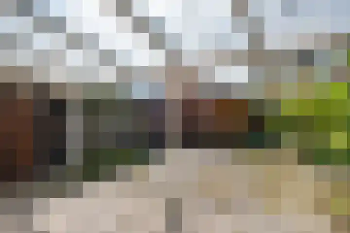 Op het Zant 9 Meijel thumbnail 22