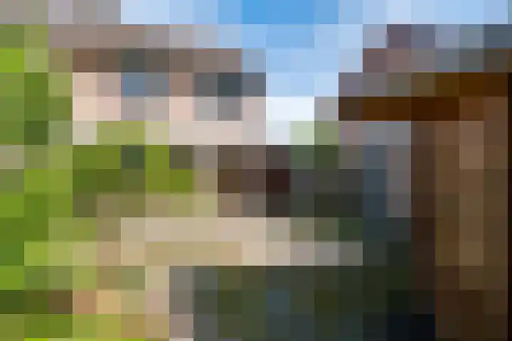 Op het Zant 9 Meijel thumbnail 23