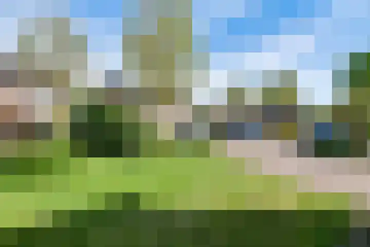 Op het Zant 9 Meijel thumbnail 24
