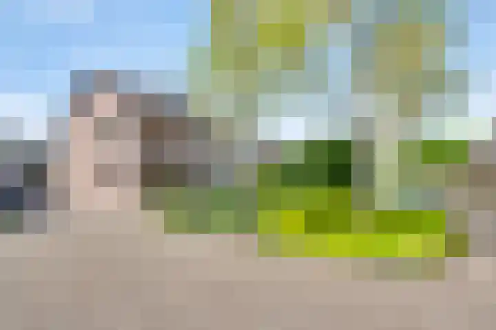 Op het Zant 9 Meijel thumbnail 25