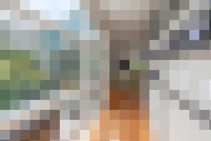 Op Koers 13 Almere thumbnail 14