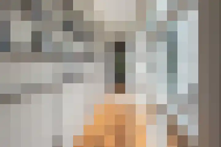 Op Koers 13 Almere thumbnail 15