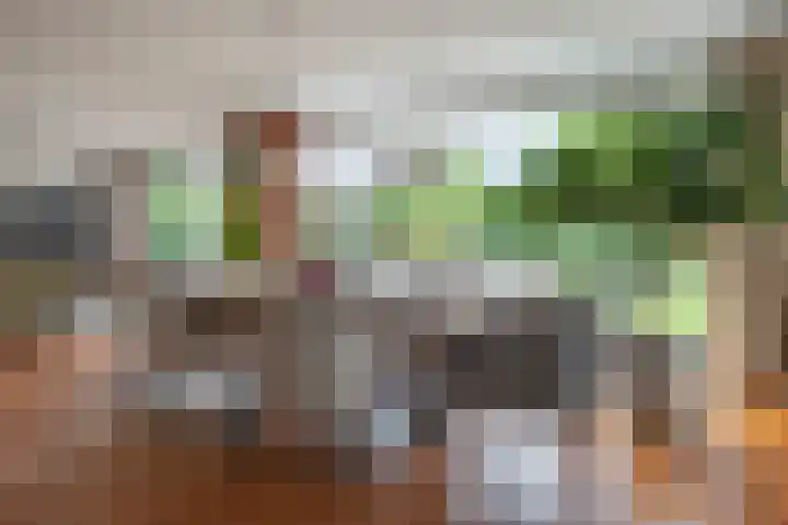 Op Koers 13 Almere thumbnail 23