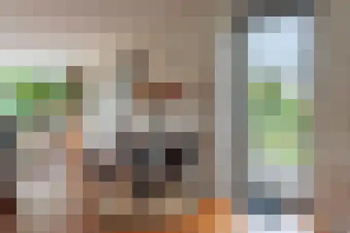 Op Koers 13 Almere thumbnail 37
